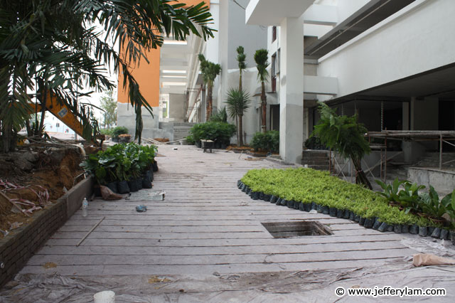 Landscaping In Progress